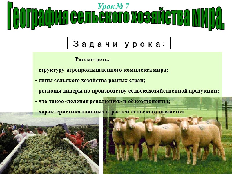 География сельского хозяйства мира. Урок № 7  Задачи урока:    